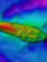 underwater shipweck finding marine survey scan example of tresure hunter 3d ground metal detector